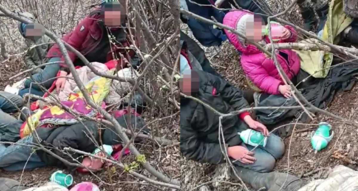 Семью с шестью детьми нашли спящими в лесу в Павлодарской области