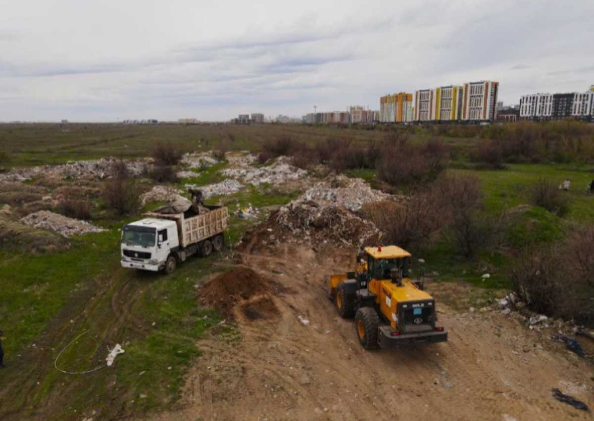 Несанкционированные свалки ликвидировали во время экоакции в Астане