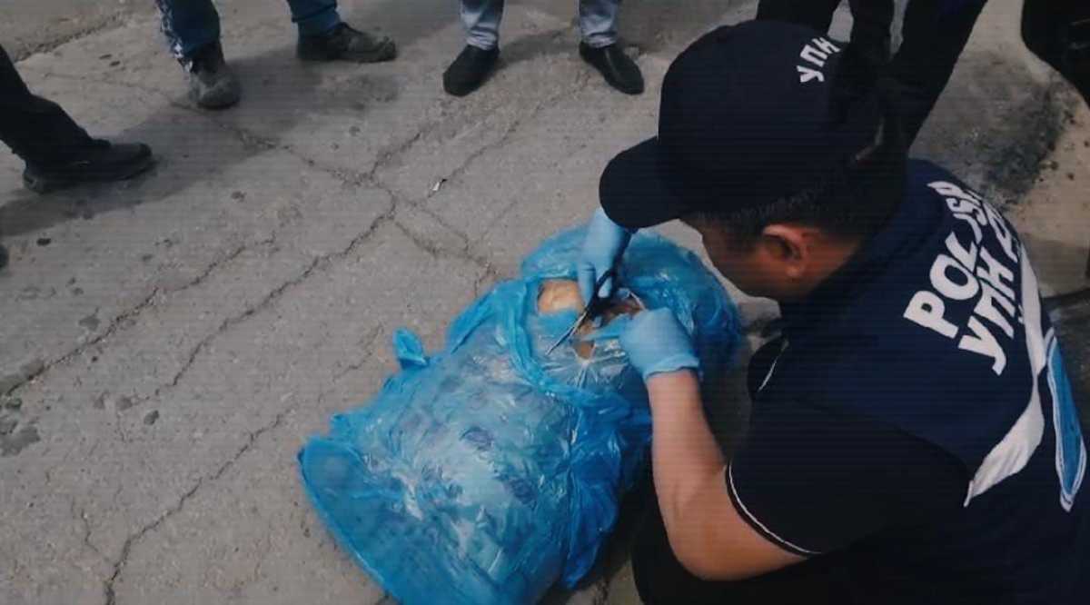 Два канала поставки марихуаны в регионы Казахстана ликвидировали полицейские