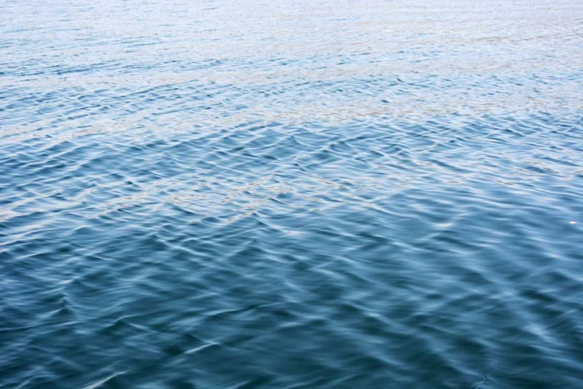 Тела трёх человек нашли в водоёмах в Атырауской области