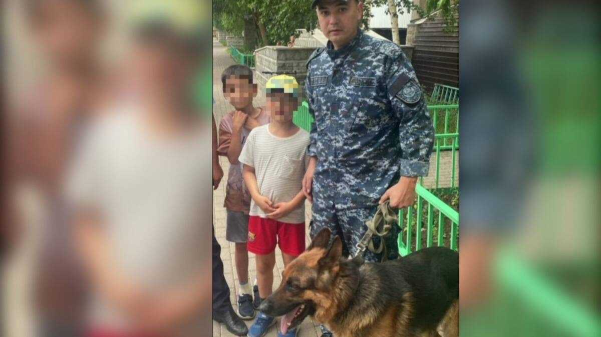 Пропавшего ребёнка нашла полицейская собака в Астане