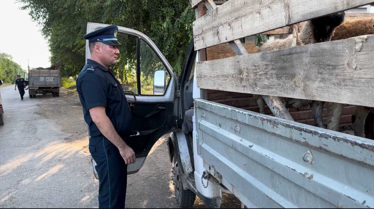 Две преступные группы барымтачей ликвидировали в Жамбылском районе