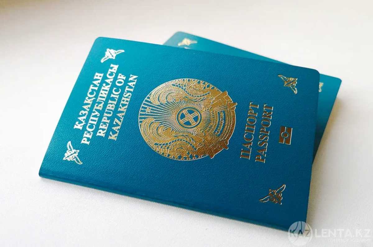 Этническим казахам из других стран выдали 55 карт «Ата жолы»