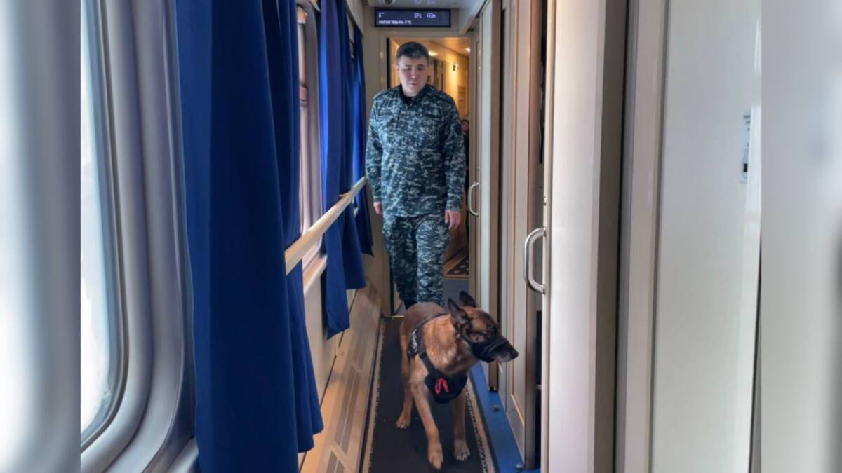 Иностранца задержали за перевозку наркотиков в Абайской области