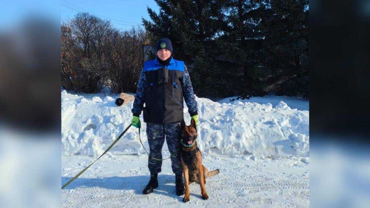 Верно взял след: ищейка раскрыла уголовное дело в Акмолинской области