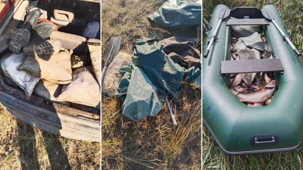 Два факта браконьерства выявили в Карагандинской области