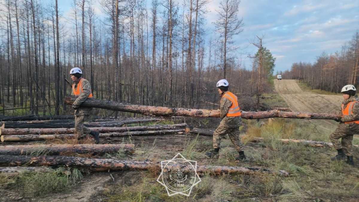 Военнослужащие МЧС РК проводят санитарную вырубку леса в «Семей Орманы»