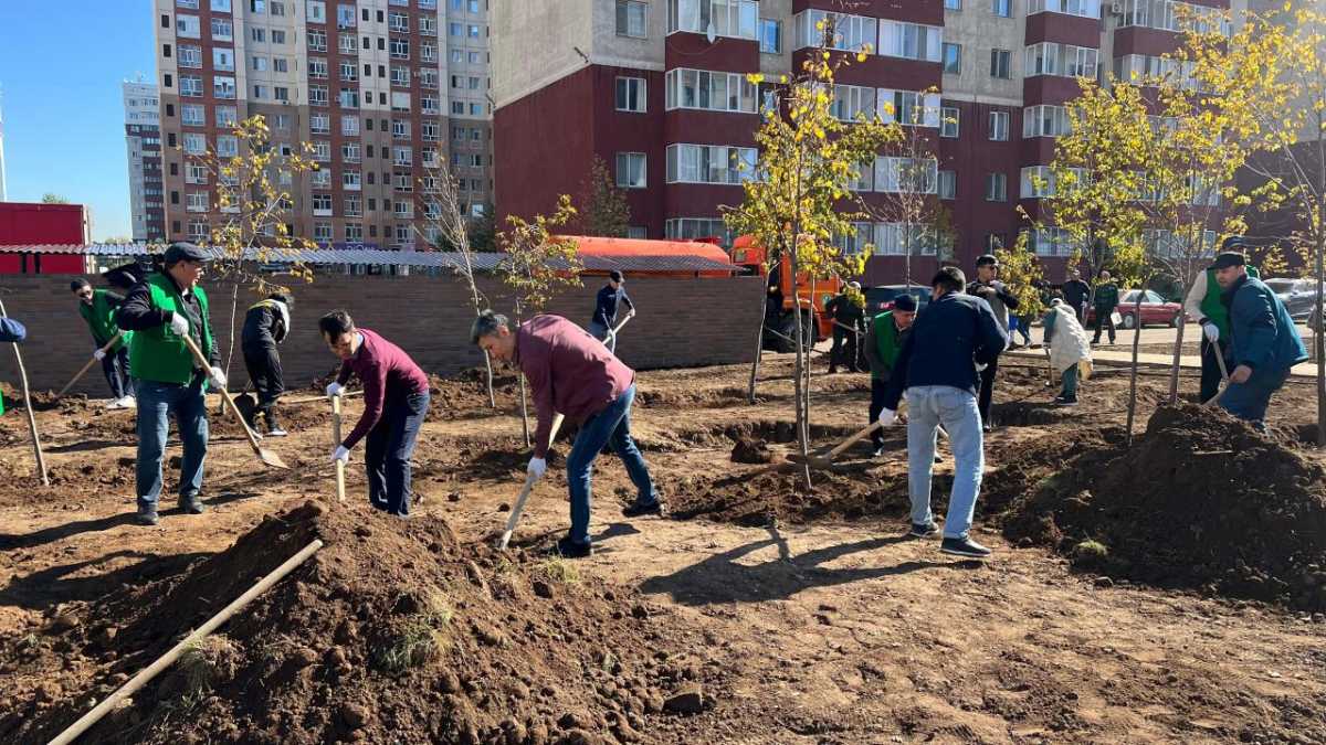 Миллион зеленых насаждений высадят в Астане в текущем году