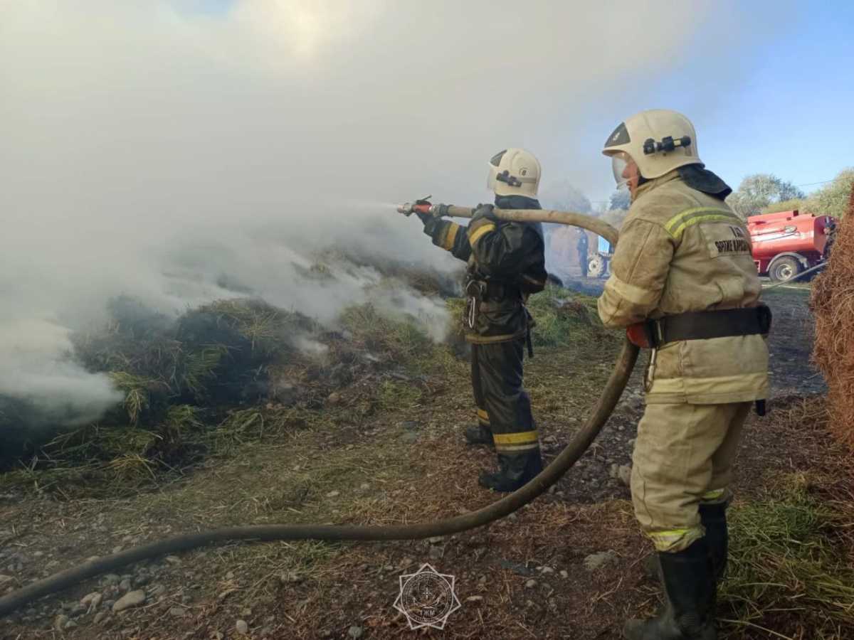 250 тонн сена спасли от огня в Жетысуской области