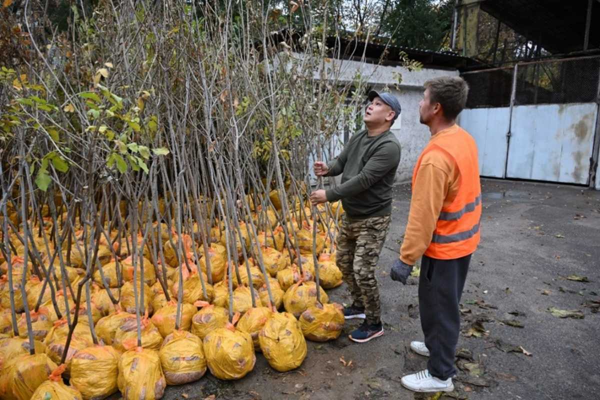 «Таза Қазақстан»: в Алматы стартовала кампания «Жарқын күз»