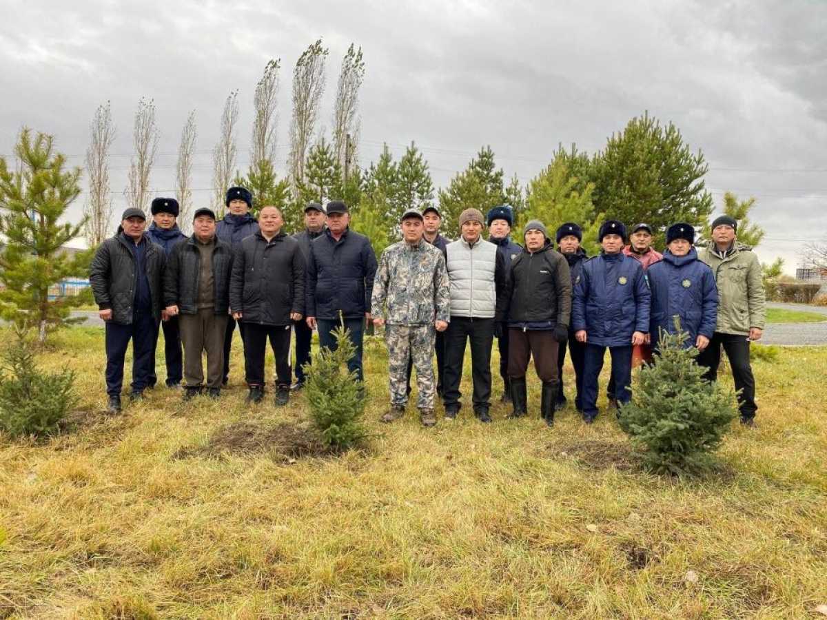 В ВКО спасатели высадили деревья