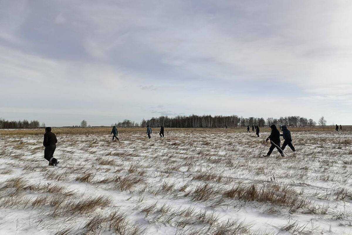 Пять дней ищут без вести пропавшего пастуха в Костанайской области