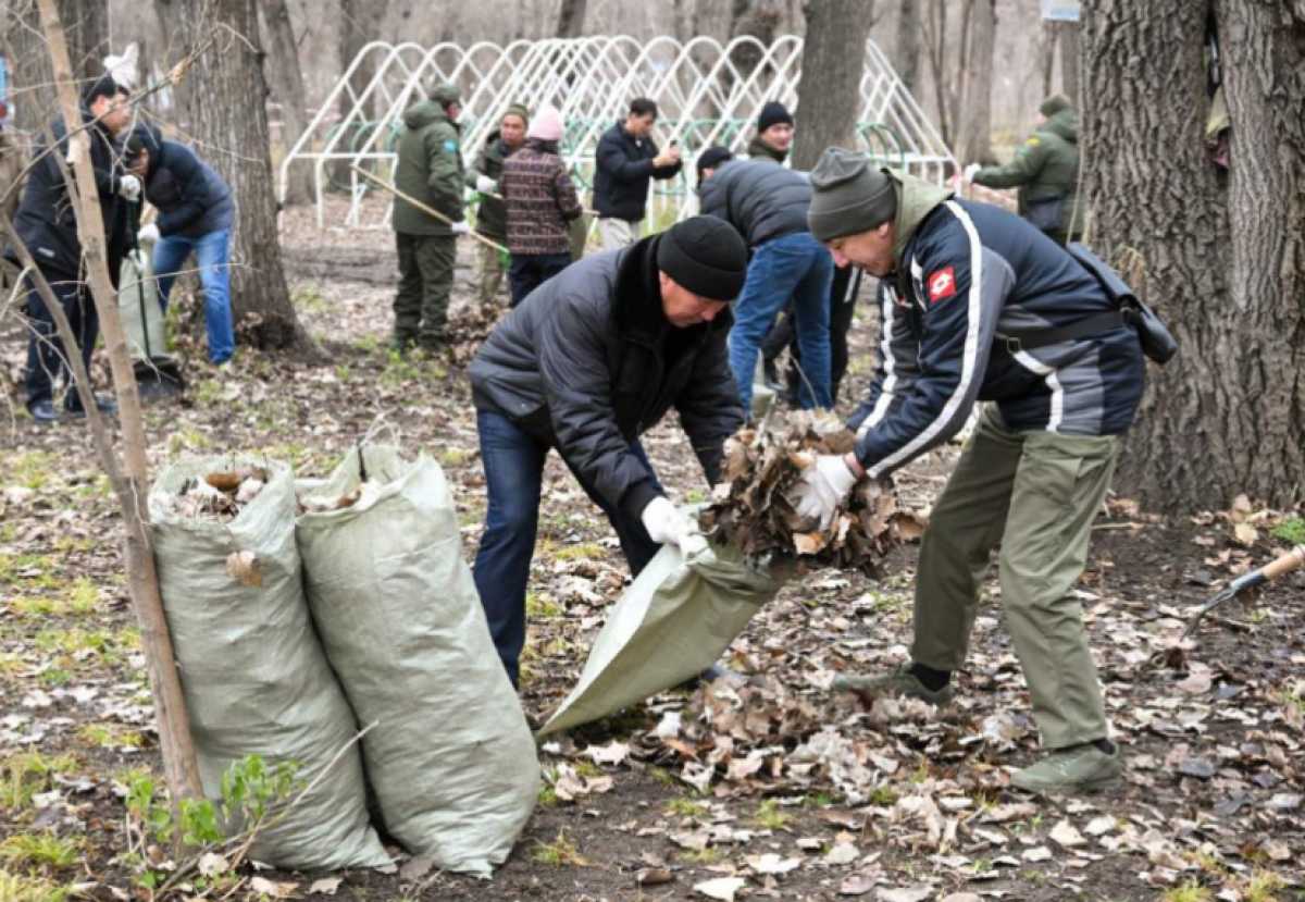 В Алматы в преддверии зимы привели в порядок рощу Баума