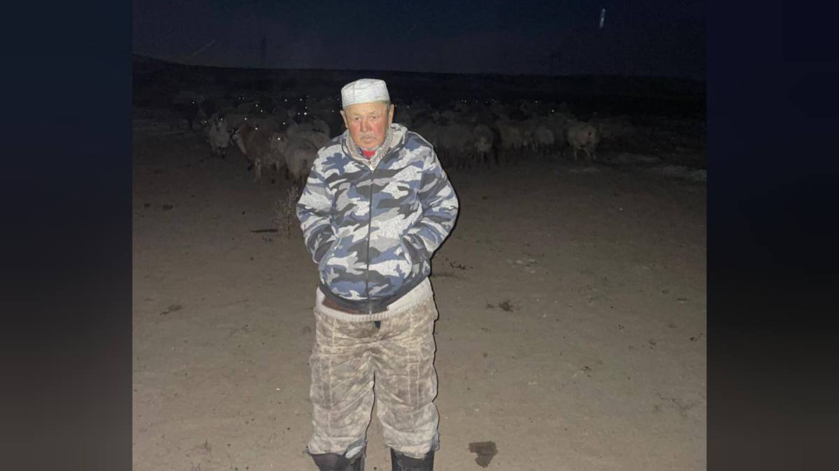 Без вести пропавшего пастуха нашли в Жетысуской области