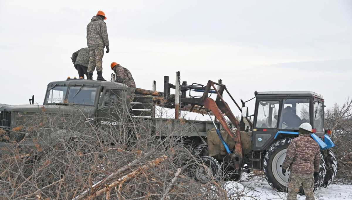 В области Абай военнослужащие очистили более 17 га выгоревшего леса