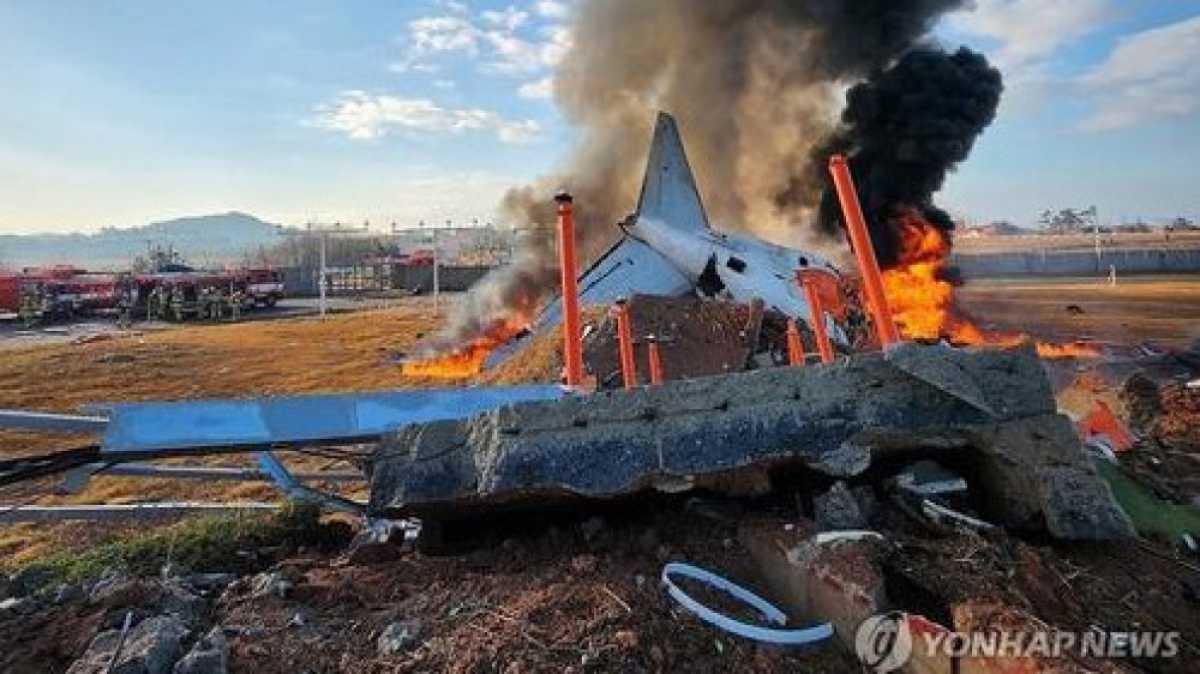 В Южной Корее назвали предварительную причину крушения самолета