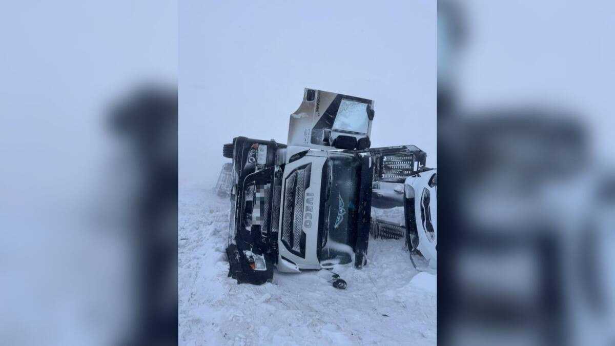 Автовоз с машинами съехал в кювет в Акмолинской области