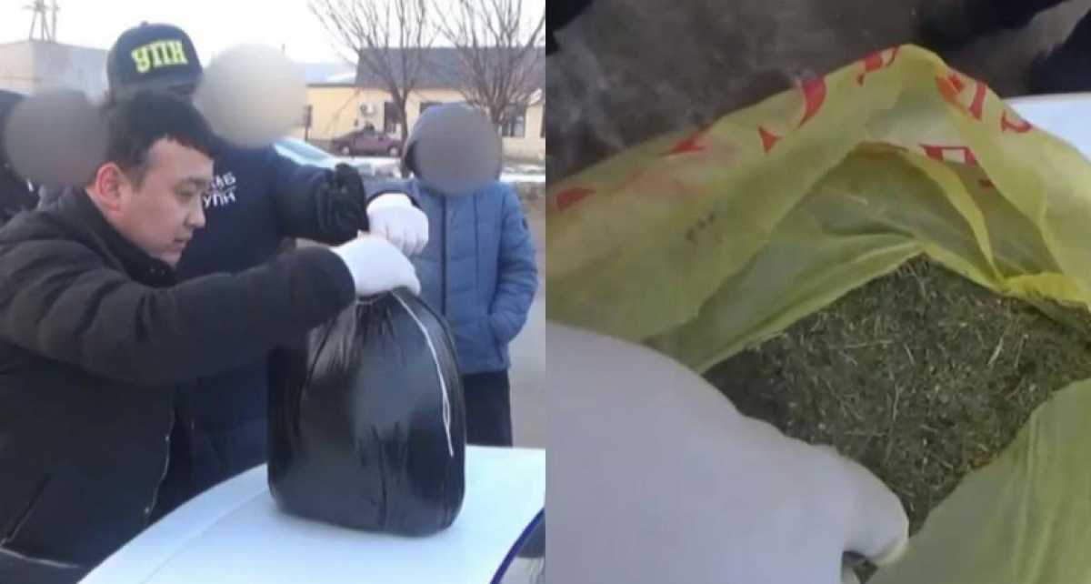 3 кг марихуаны изъяли у пассажира авто в Туркестанской области