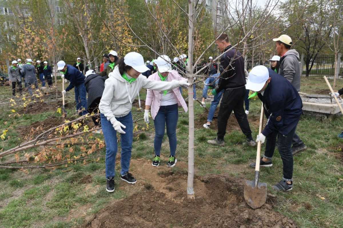 В Алматы стартует кампания «Алматы – наш общий дом»