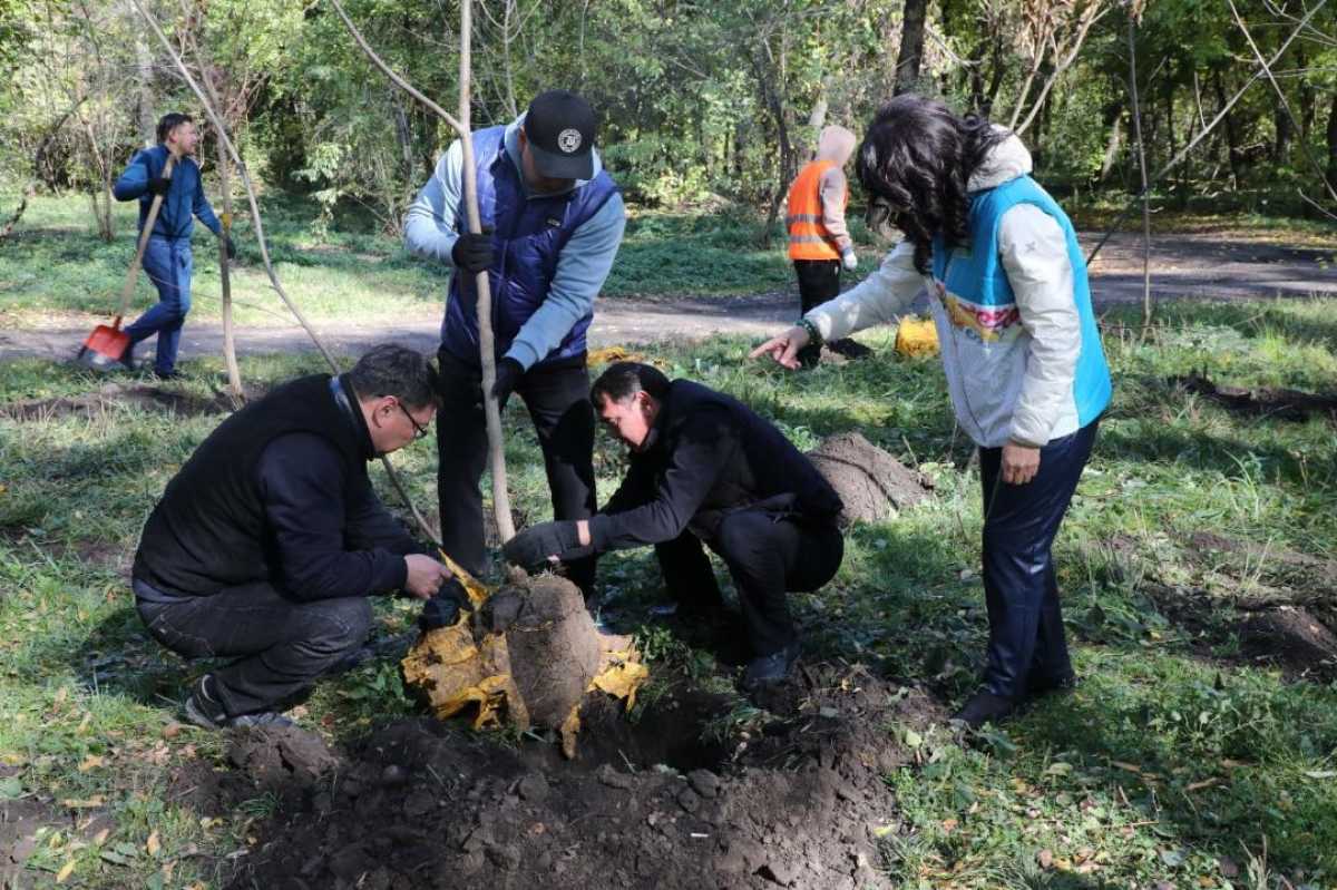 «Алматы – наш общий дом»: 1 марта в городе стартует масштабная кампания по благоустройству и озеленению