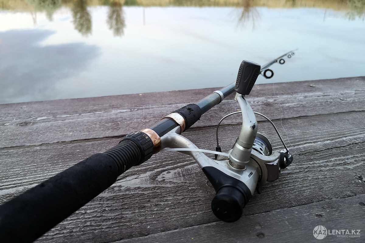 Двух тонущих рыбаков спасли в Жетысуской области