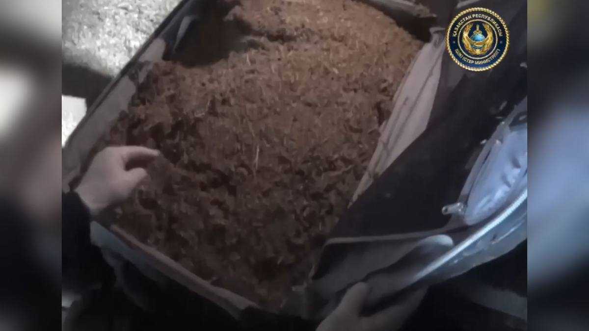 5 мешков и чемодан: 20 кг марихуаны изъяли у жителя Павлодарской области