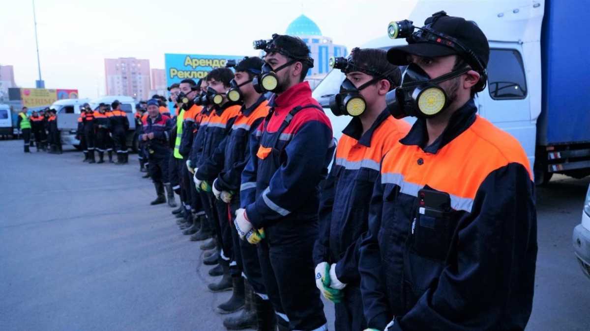 Борьба с комарами и гнусом: дезинсекционные работы проводят в Астане