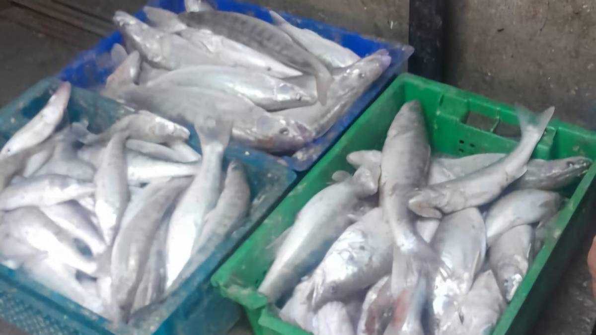 С крупной добычей задержали браконьеров на озере Балхаш