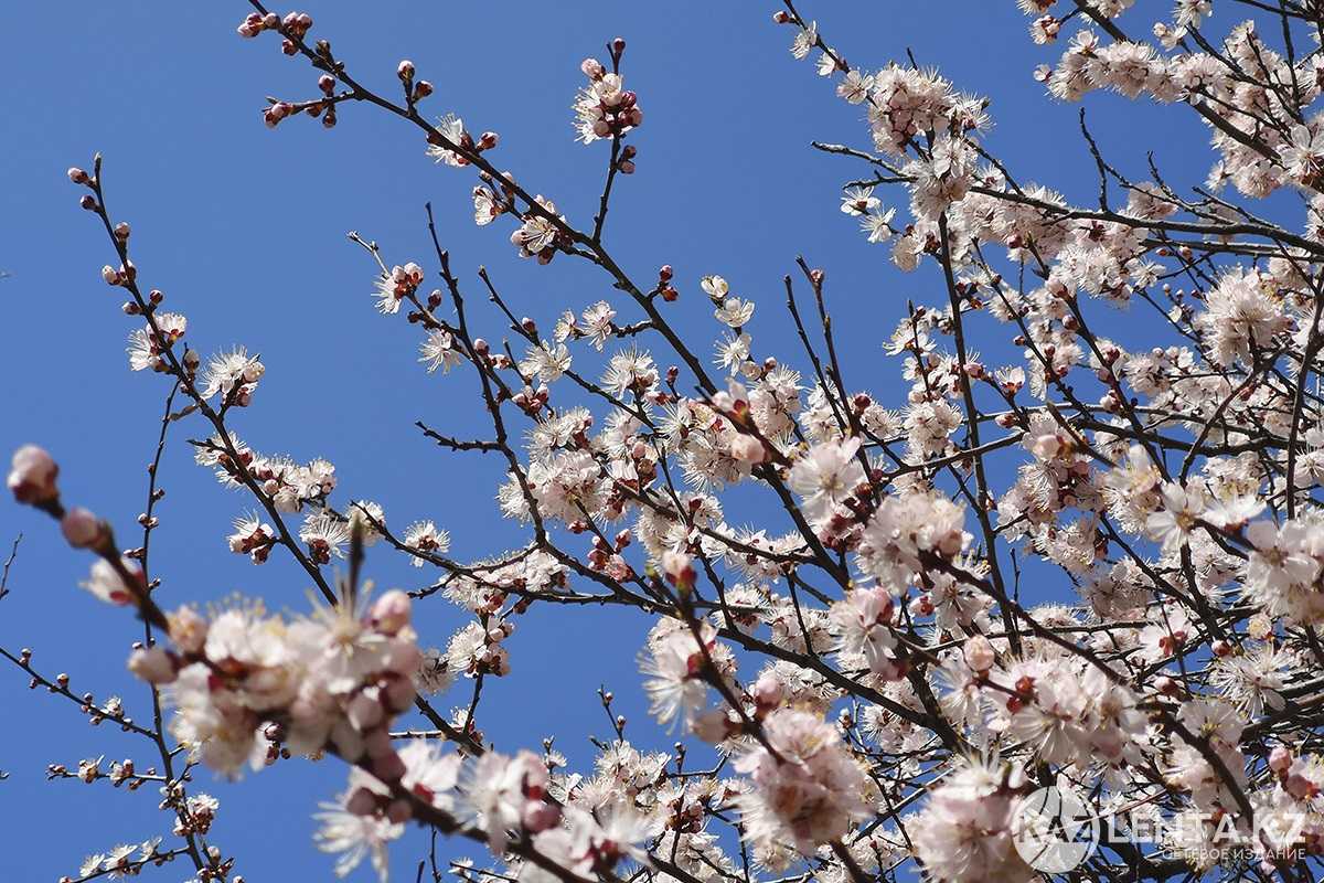 Приметы на 1 мая 2025 года: что категорически запрещается делать в этот день