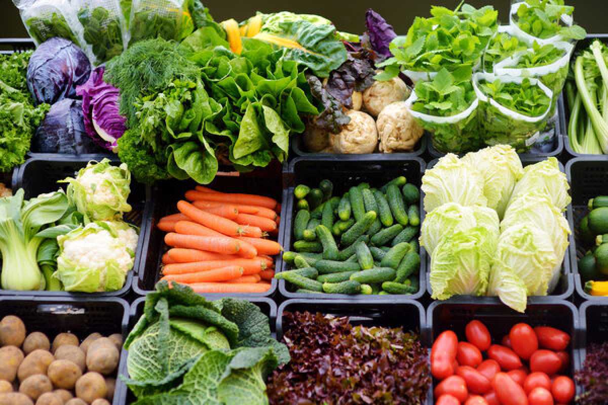 Алматинцы купили свыше 10 тысяч тонн продуктов на ярмарках выходного дня: где и когда они проходят