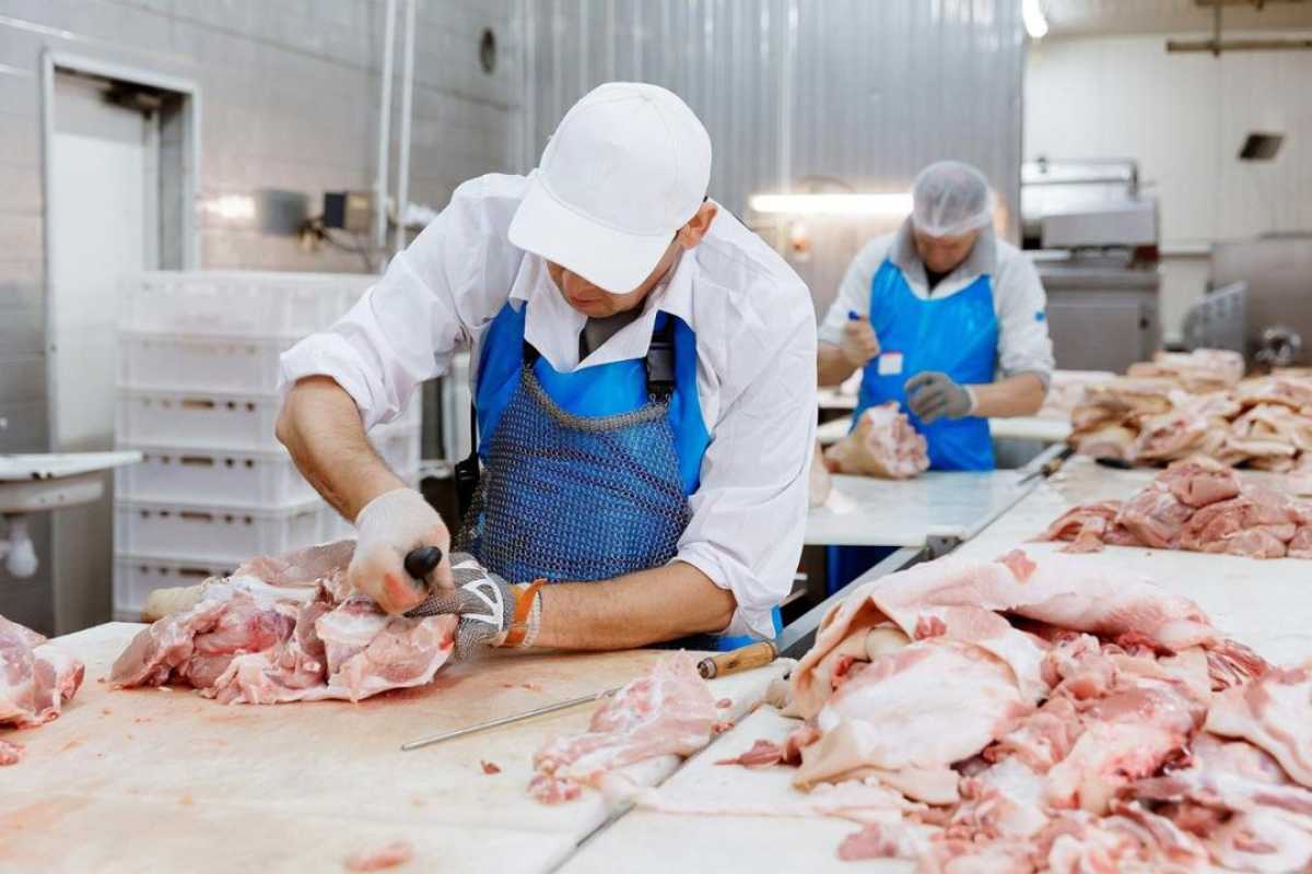 Экспорт мясной продукции из Казахстана за два месяца 2025 года вырос в два и более раза