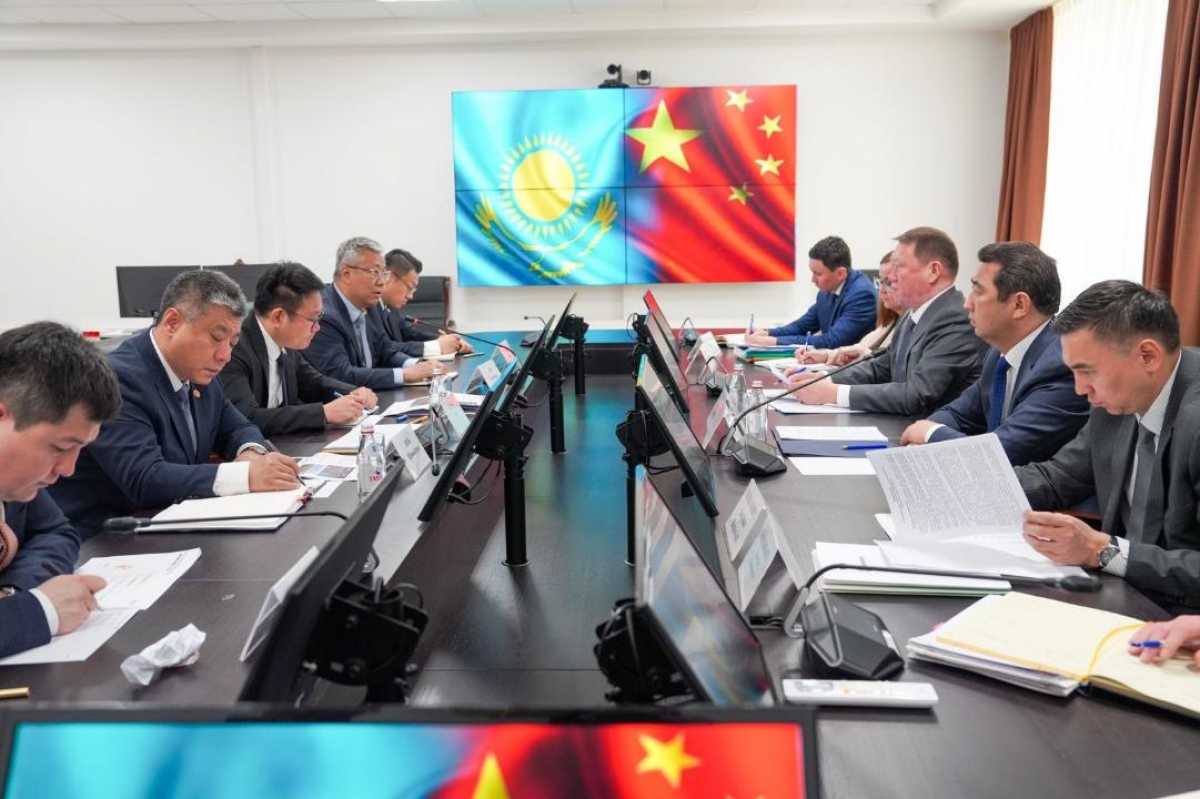 Китай вложит 1,1 млрд долларов в переработку казахстанского зерна