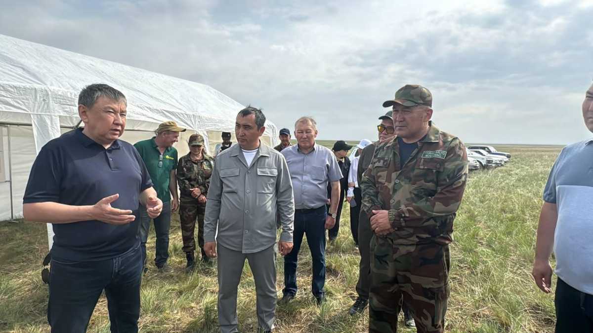 В Акмолинской области прошёл выезд оперативного штаба по борьбе с саранчовыми вредителями