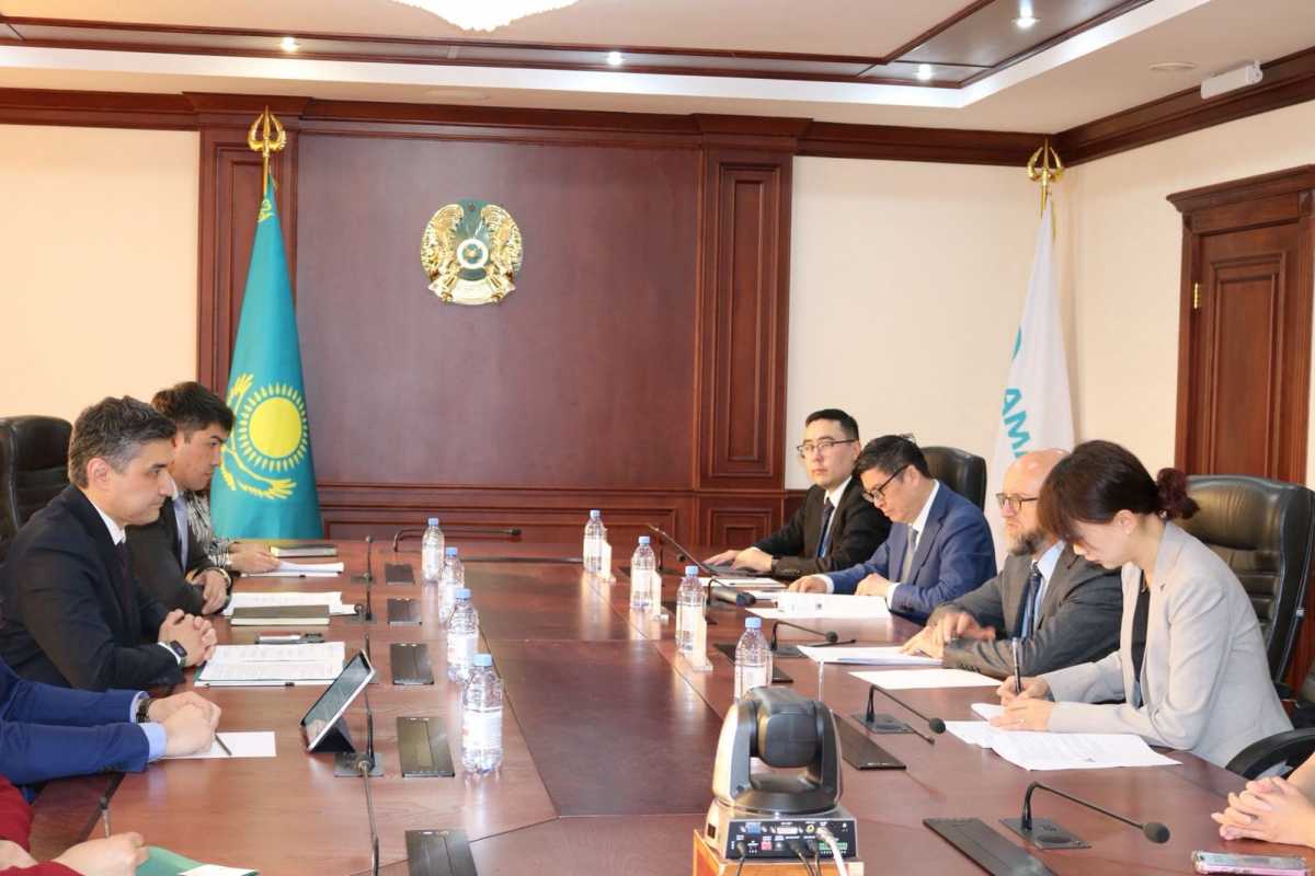 АБИИ может профинансировать обновление электросетей на севере и западе Казахстана
