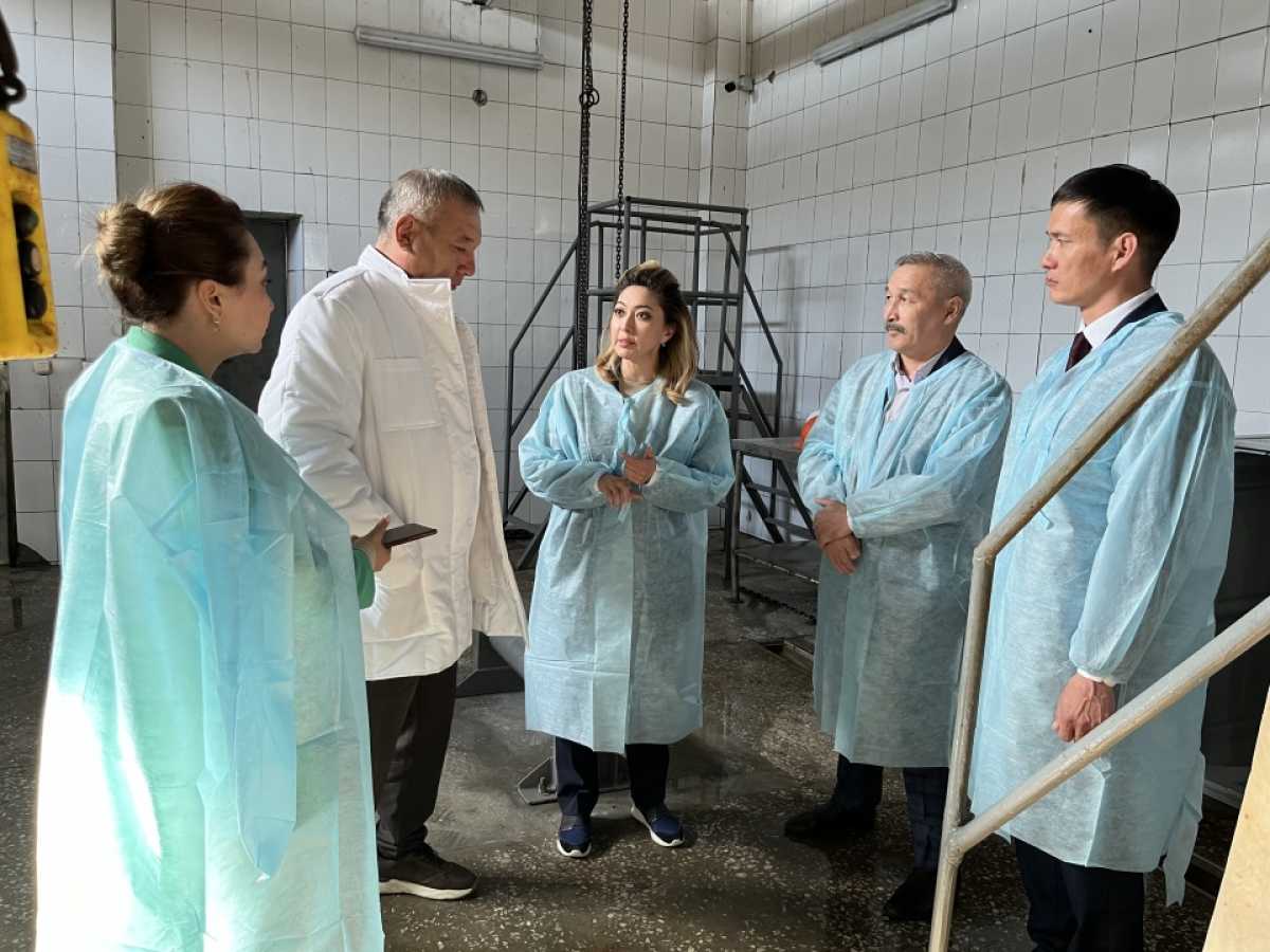 Айжан Бижанова обсудила развитие мясопереработки и ценовую стабильность в ходе визита на ТОО «Ет бастау»