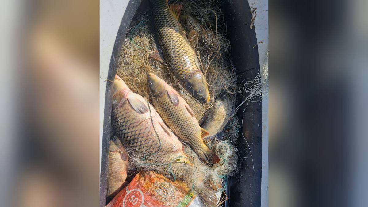 Полицейские выявили браконьеров и конфисковали улов в Павлодарской области