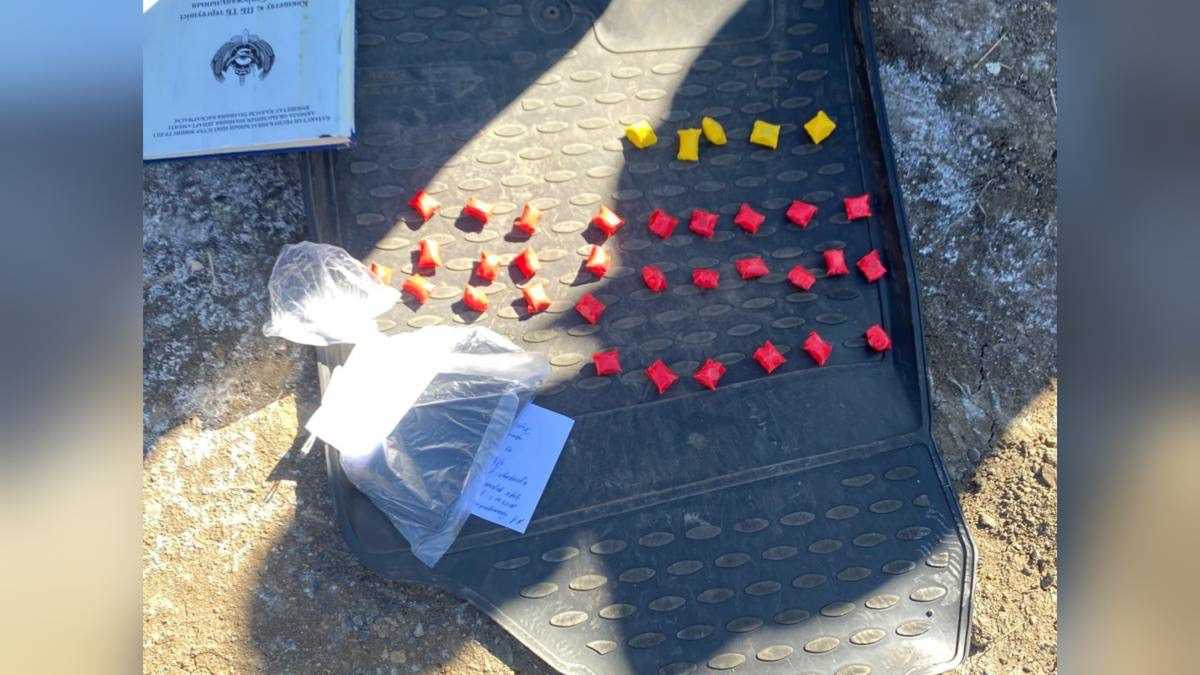50 доз мефедрона: студента-закладчика поймали в Кокшетау