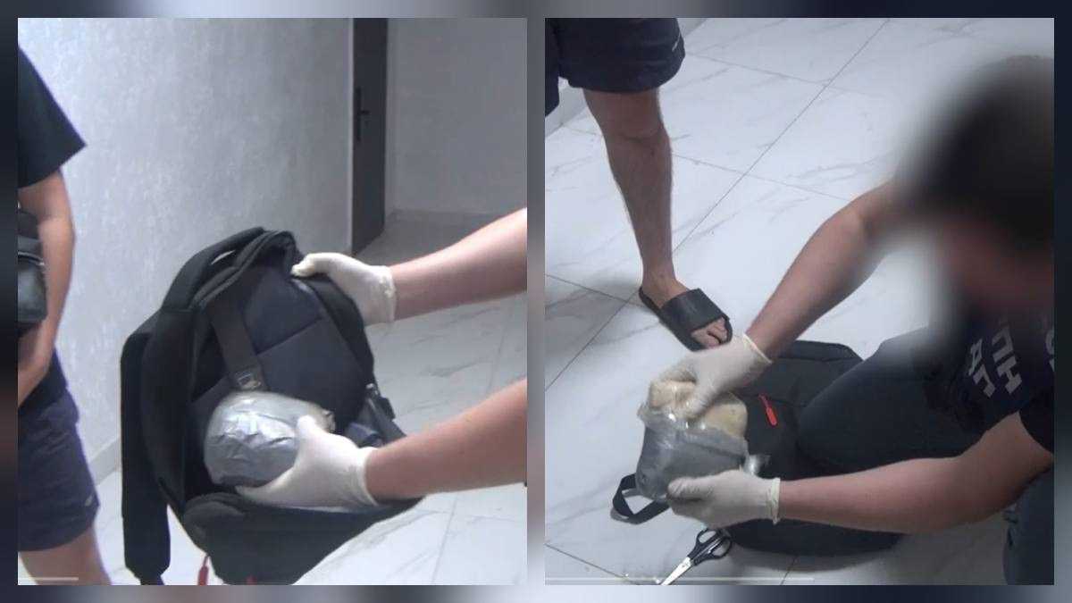 В Астане раскрыли схему интернет-сбыта наркотиков