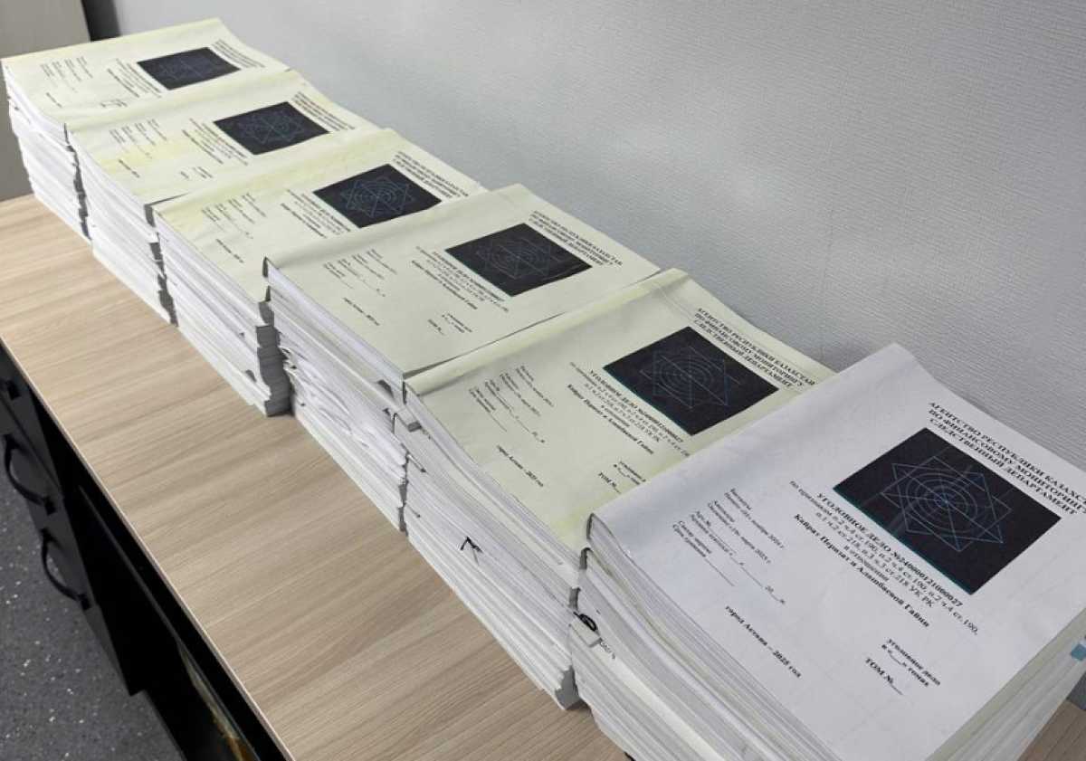 Дело Перизат Кайрат и Гайни Алашбаевой передано в прокуратуру – АФМ РК