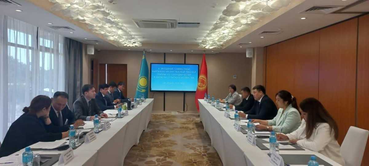Казахстан и Кыргызстан активизируют приграничную торговлю агропродукцией