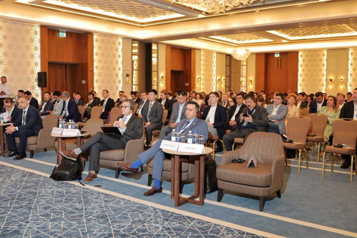 Казахстан запускает национальную программу оценки безопасности дорог KazRAP