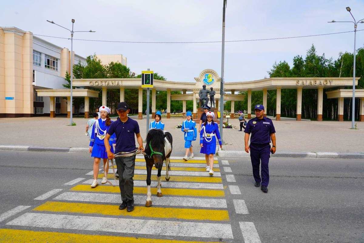 «Зебра на зебре»: пони помогает в профилактике ДТП в Костанае