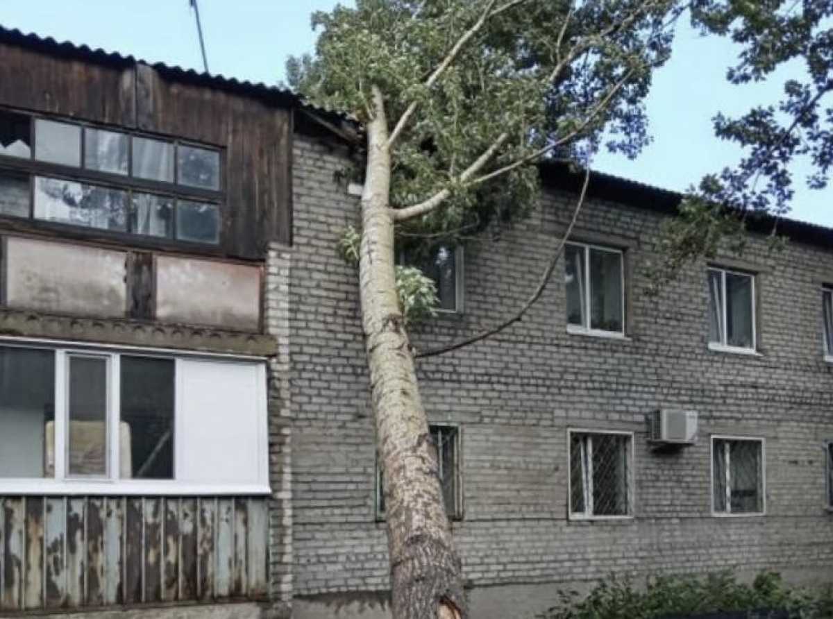 В Павлодарской области объявят режим ЧС: пострадавшие от урагана получат помощь