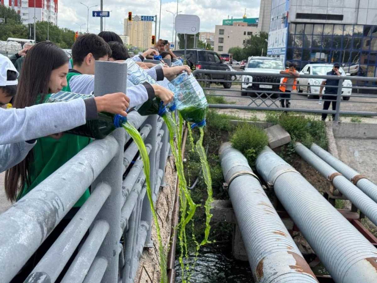 Экоакцию по очистке ручья Сарыбулак провели в Астане