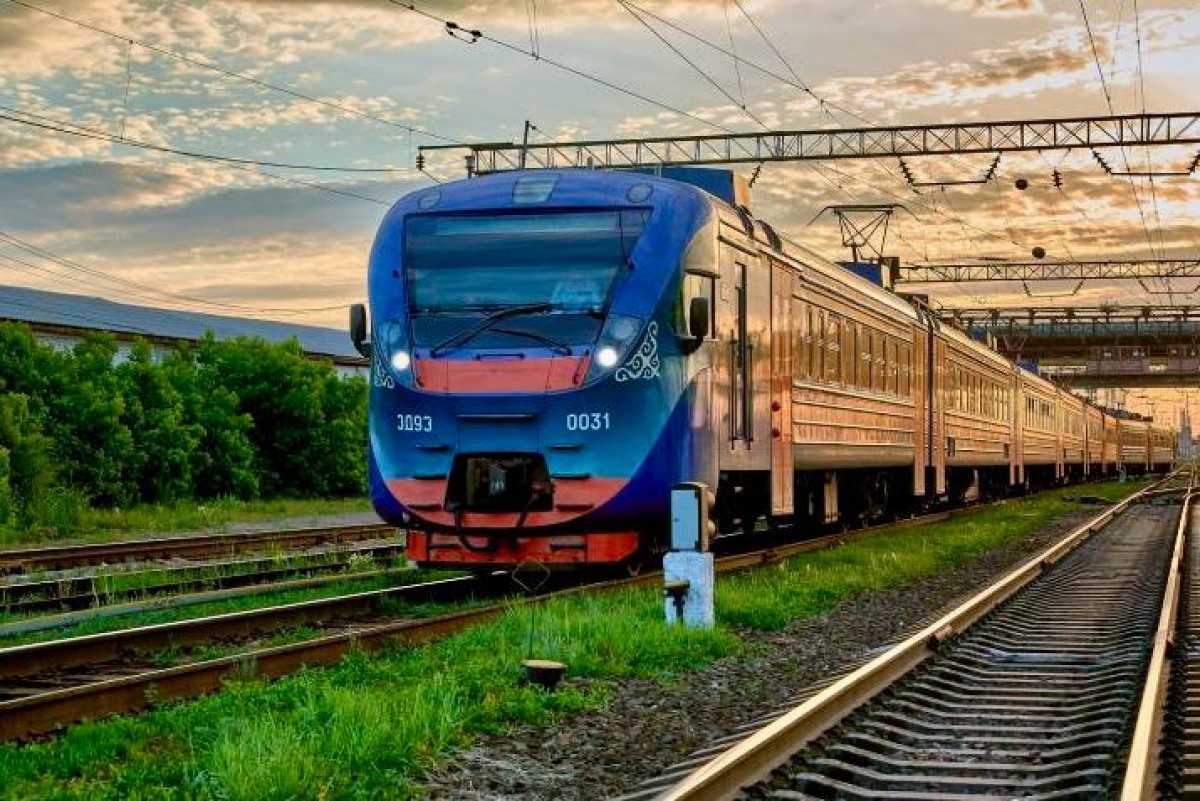 Животные на путях стали причиной сотен экстренных торможений поездов в Казахстане