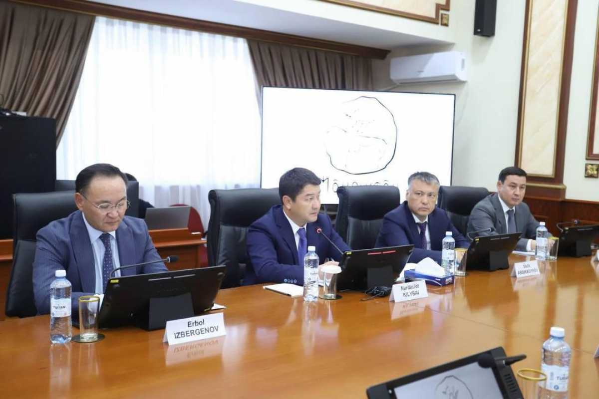 Нурдаулет Килыбай встретился с делегацией CMEC