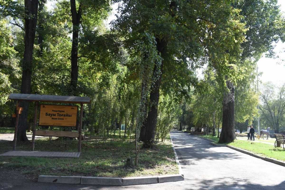 В Алматы продолжается развитие общественных пространств: стартует благоустройство рощи Баума