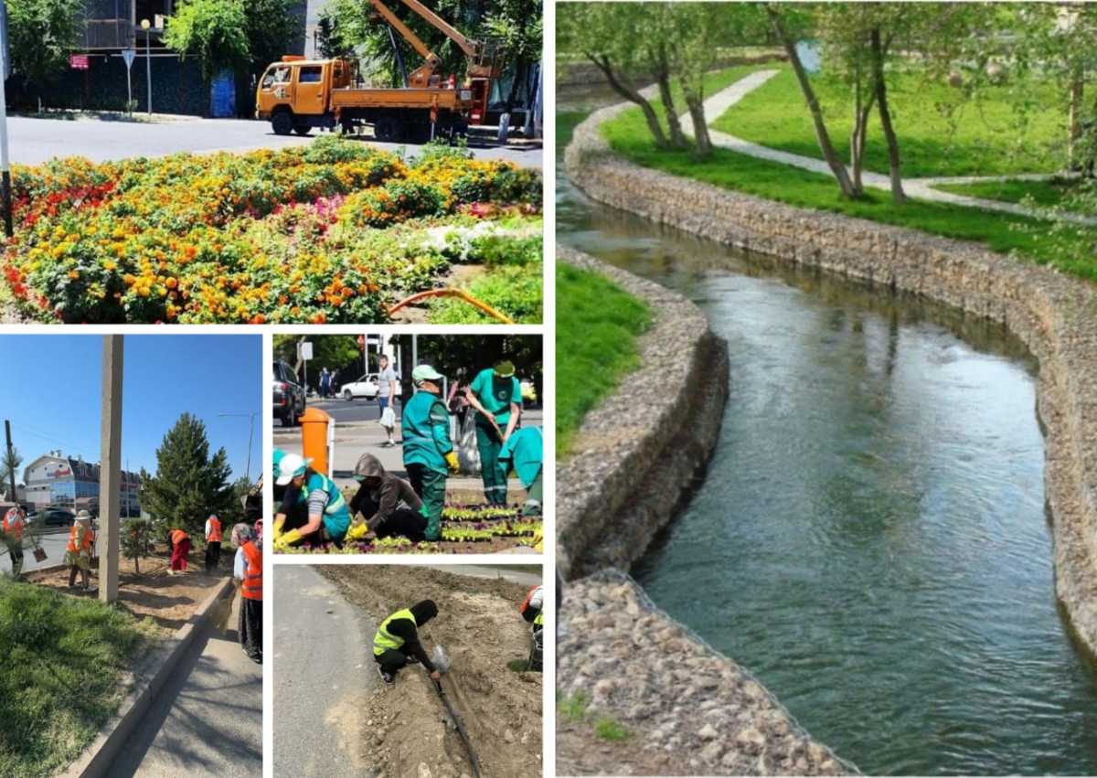 До конца 2025 года в Шымкенте высадят более 220 тысяч деревьев