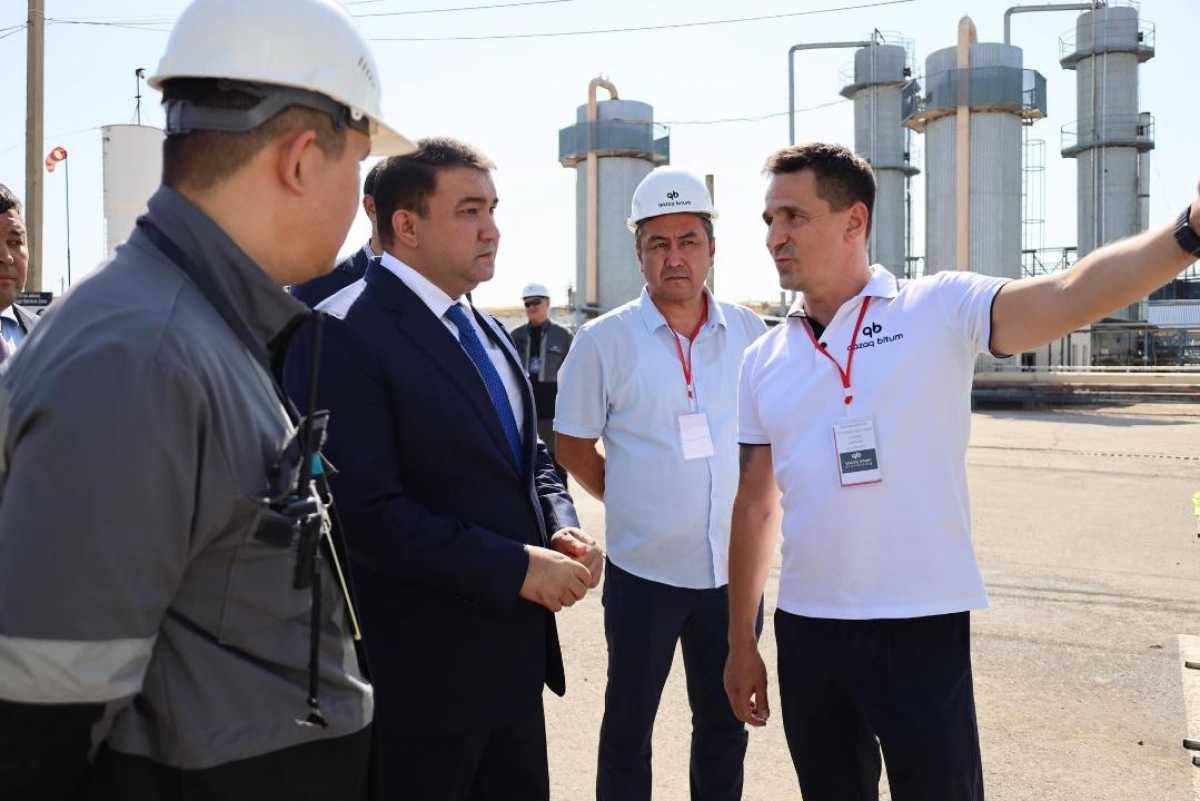Производственный бум Туркестанской области: от битума до спецодежды