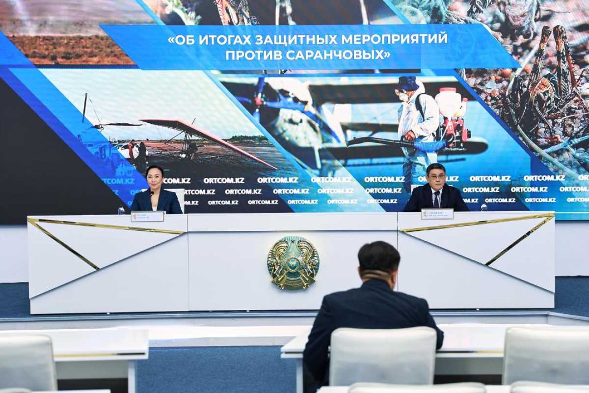 2,7 млн га сельхозугодий обработано в Казахстане против саранчовых вредителей